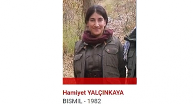 Kırmızı Kategorideki Terörist Etkisiz Hale Getirildi