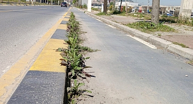 Şehirdeki Bisiklet Yolları Yaza Hazırlanıyor