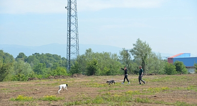 13. Fermalı Av Köpekleri Mera ve Güzellik Yarışması Başlıyor