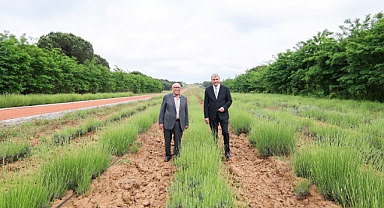 “Botanik Park Projemizle Vadiyi Yaşam Merkezi Haline Taşıyacağız”