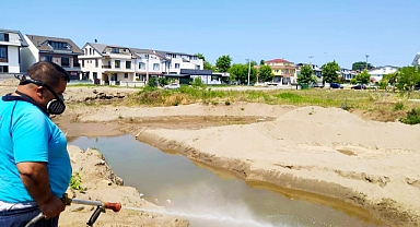Büyükşehir 16 İlçenin Tamamında Vektörlerle Mücadele Ediyor