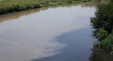 Dicle Nehri’nde Korkutan Görüntü