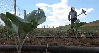 PKK'dan Temizlendi: Köylerine Dönüp Tarıma Başladılar