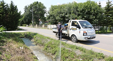 Serdivan Belediyesi İlaçlama Çalışmalarını Yoğunlaştırdı