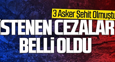 3 Asker Şehit Olmuştu: İstenen Cezalar Belli Oldu