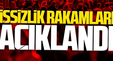 İşsizlik Rakamları Açıklandı