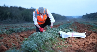 Toprağının Bereketi Sakarya’yı Dünya Sahnesine Taşıyor