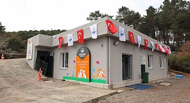 Sokak Hayvanları İçin Mama Üretim Tesisi