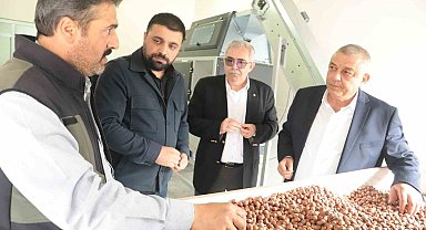 Fındık Katma Değeri Yükselecek