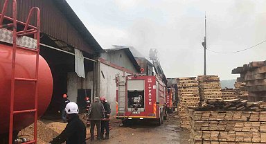 Orman Ürünleri Fabrikasında Korkutan Yangın