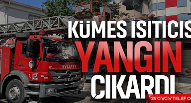 Kümes Isıtıcı Yangın Çıkardı: 25 Civciv Telef Oldu