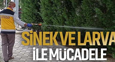 Sinek Ve Larva İle Mücadele