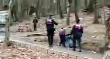Tabiat Parkını Tepeden Tırnağa Soydular