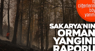 Sakarya'nın Orman Yangını Raporu: İşte Ciğerlerimiz Böyle Yanmış!