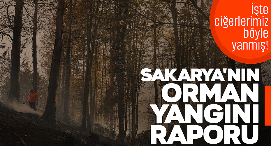 Sakarya'nın Orman Yangını Raporu: İşte Ciğerlerimiz Böyle Yanmış!