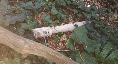 Hendek’teki Orman Yangınının Sebebi Belli Oldu