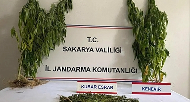 Sakarya'da Uyuşturucuya Geçit Yok: 1 Tutuklama