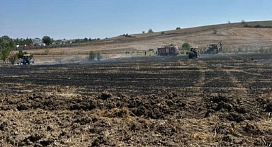 20 Dönümlük Alan Yangında Kül Oldu