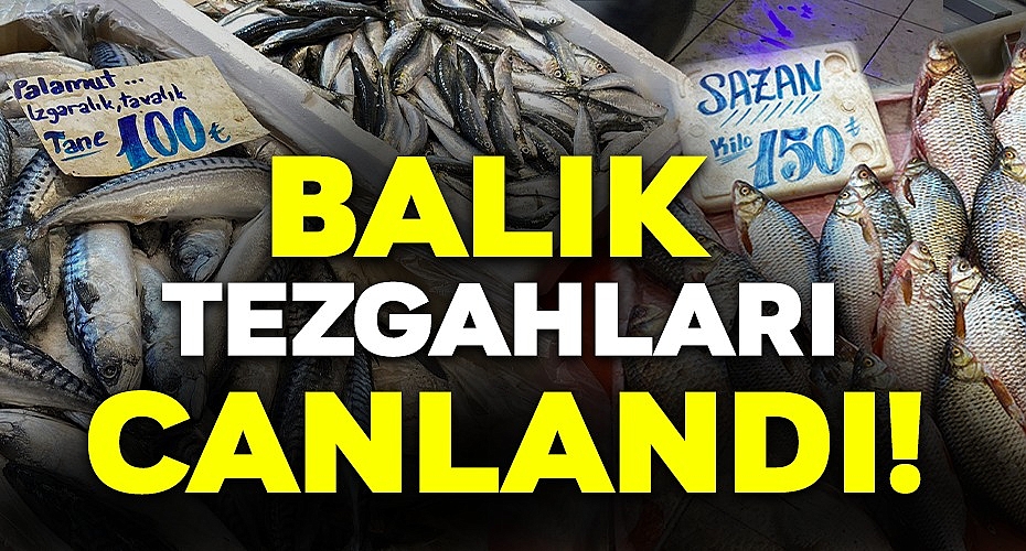 Balık Tezgahları Canlandı!