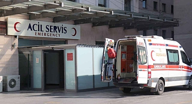 Kenenin Isırdığı Çocuk Tedavi Altına Alındı!