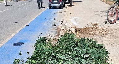 Önce Aydınlatma Direğine, Sonra Ağaca Çarptı: 2 Yaralı