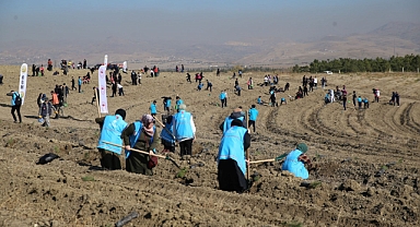 TDV’den “1 İyilik 1 Fidan” Projesiyle Fidan Seferberliği