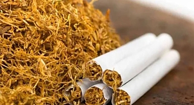 Tütün Üretiminde Yeni Dönem: Kayıt Dışı Düzenlemesi