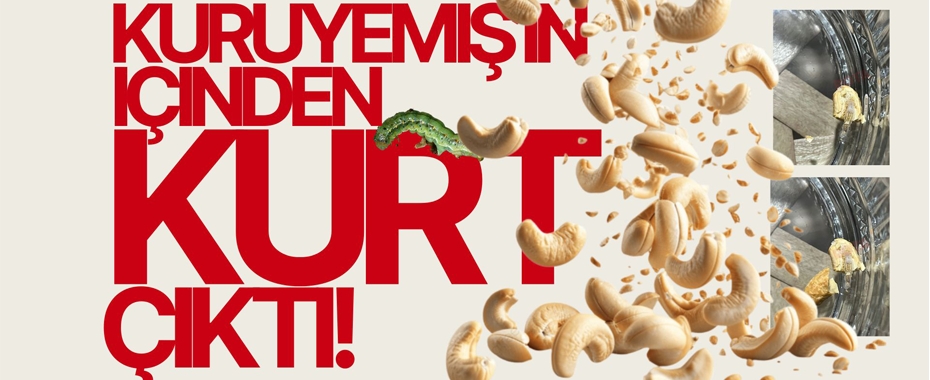 Kuruyemiş 'in İçinden Kurt Çıktı!