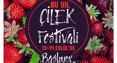Pamukova’da Çilek Festivali 13-14 Eylül’de Başlıyor!