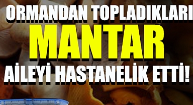 Ormandan Topladıkları Mantar Aileyi Hastanelik Etti: 2 Kişi Yoğun Bakımda