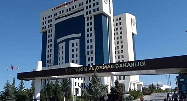 Tarım Ve Orman Bakanlığı Personel Alımı Ne Zaman? Tarım Ve Orman Bakanlığı Personel Alımı Başvuru Şartları Neler?