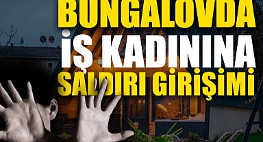 Genç Kadına Cinsel Saldırıda Bulundu: 