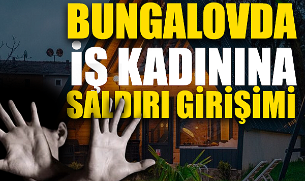 Genç Kadına Cinsel Saldırıda Bulundu:
