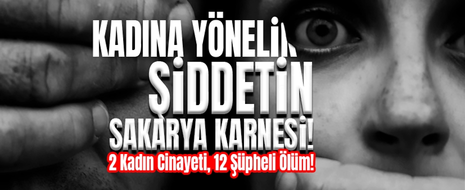 Kadına Yönelik Şiddetin Sakarya Karnesi