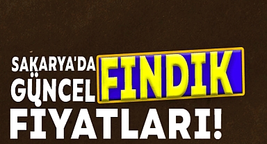 Sakarya'da Güncel Fındık Fiyatları!