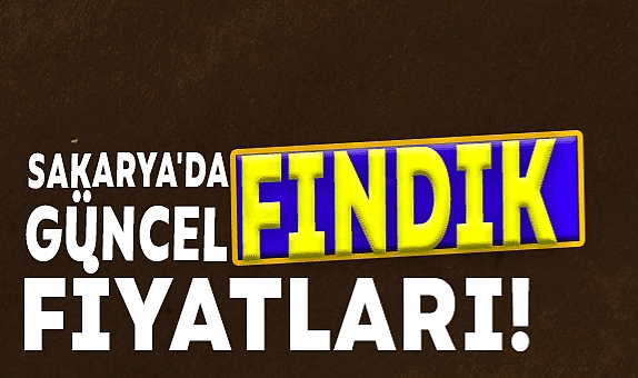 Sakarya'da Güncel Fındık Fiyatları!