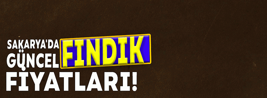 Sakarya'da Güncel Fındık Fiyatları!