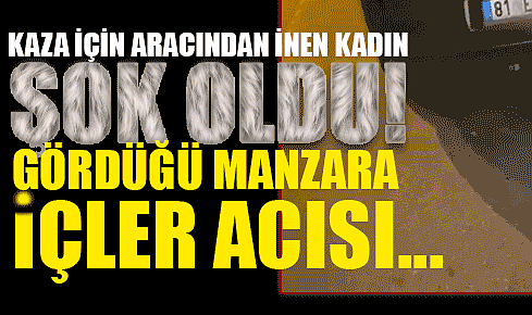 Kaza İçin Aracından İnen Kadın Şoku Yaşadı