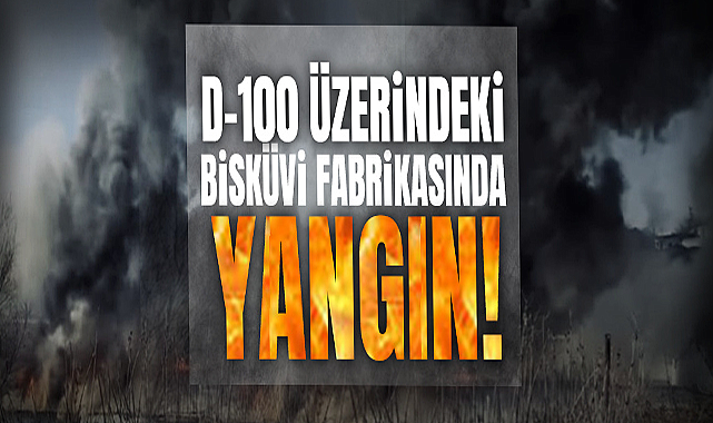 D-100 Üzerindeki Bisküvi Fabrikasında Yangın