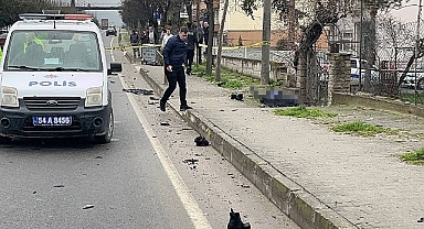 D-650'de Feci Kaza! Anne Yaralandı, Kızı Hayata Veda Etti