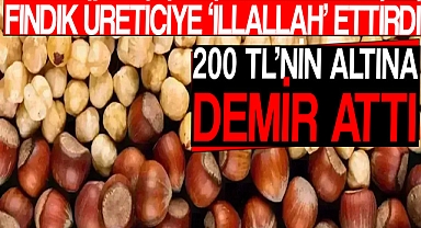 Fındık Üreticiye ‘İllallah’ Ettirdi