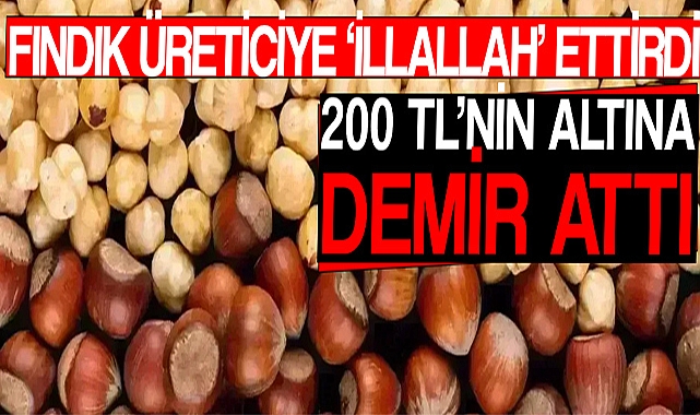 Fındık Üreticiye ‘İllallah’ Ettirdi