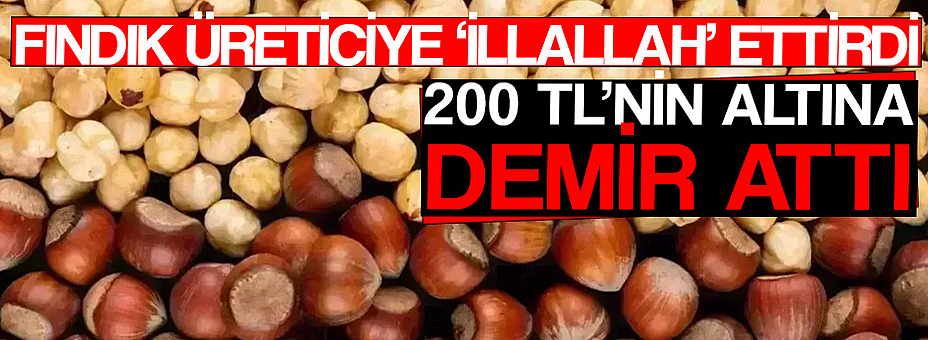 Fındık Üreticiye ‘İllallah’ Ettirdi