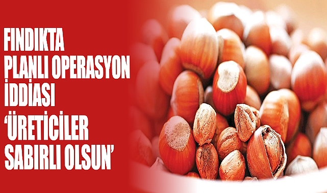 Fındıkta Planlı Operasyon İddiası!