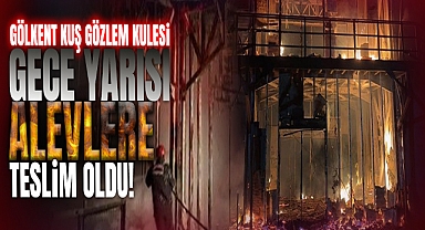 Gölkent Kuş Gözlem Kulesi Gece Yarısı Alevlere Teslim Oldu