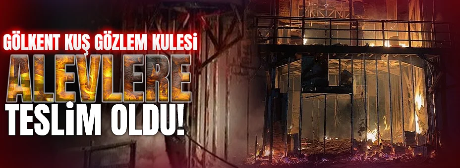 Gölkent Kuş Gözlem Kulesi Gece Yarısı Alevlere Teslim Oldu