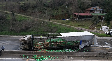 İki TIR Çarpıştı, D-650 Savaş Alanına Döndü