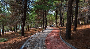 Sakaryalılar Baharı ‘Huzur Koridoru’nda Koşarak Karşılayacak