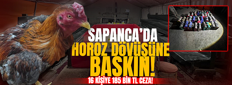 Sapanca’da Horoz Dövüşüne Baskın!