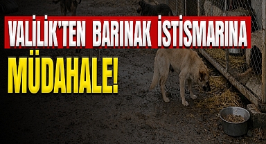 Valilik'ten Müdahale!